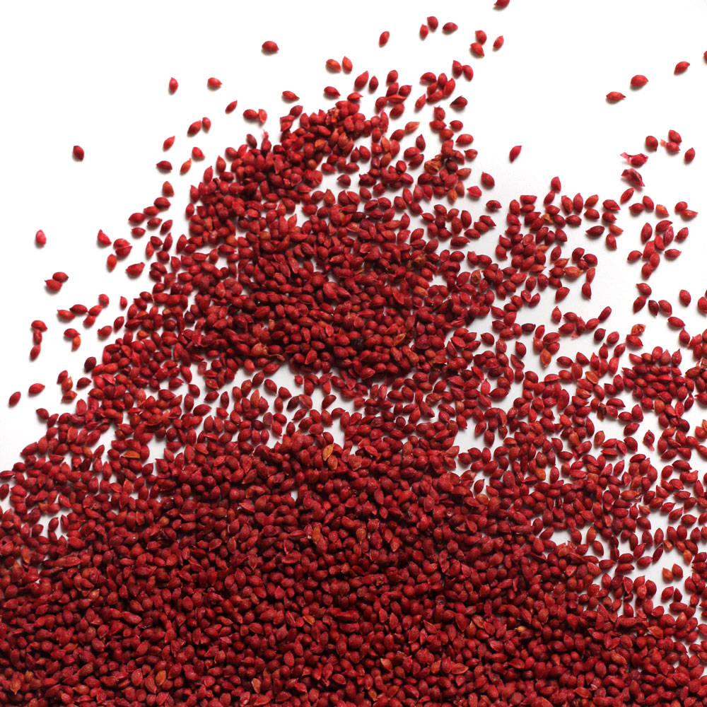 How to Private Label Cranberry Gummies in China (MOQ, Pricing, Compliance, Vendors)